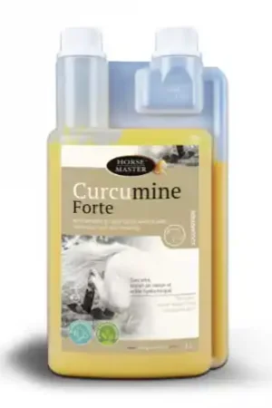 Curcumine Forte Bon Marché