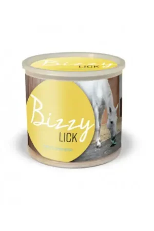 Pierre BIZZY HORSE "Bizzy Lick" Réduction