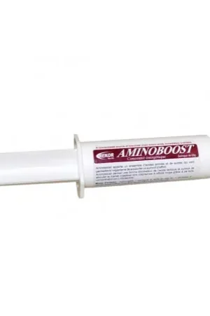 Complément alimentaire REKOR "Aminoboost" Bon Plan