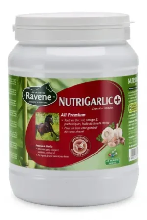 Expédition Rapide Nutrigarlic+ RAVENE