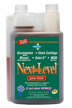 Seulement Aujourd'hui Next level : Soutien de la locomotion 946 ml