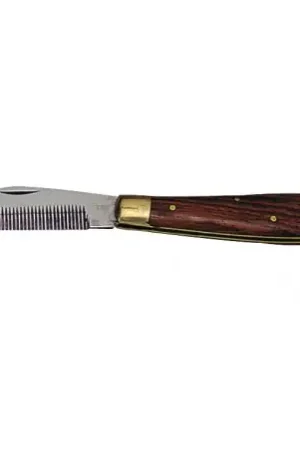 Coupe crinière Offre Du Jour