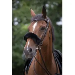 Acheter En Ligne Equithème - Fourreau de muserolle Teddy