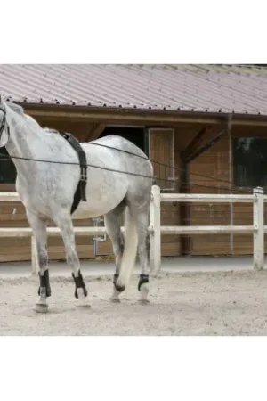 Haute Qualité Riding World - Longues Rênes cuir/corde