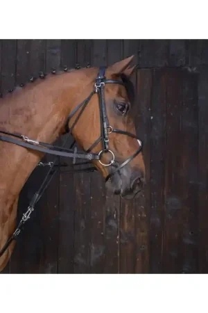 Riding World - Rênes de gogue Top Vente