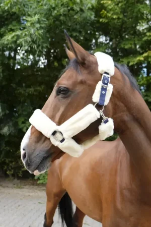 Prix Réduit Equithème - Licol Teddy