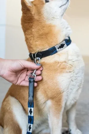 Offre Du Jour HFI - Laisse en cuir Chien "Polo"
