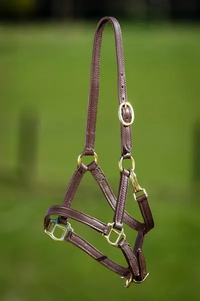HFI - Licol en cuir souple Foal Commander Vite